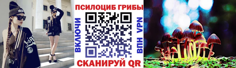 Галлюциногенные грибы прущие грибы блэк спрут онион Петровск-Забайкальский