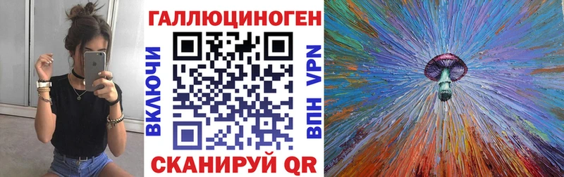 Галлюциногенные грибы Psilocybe Петровск-Забайкальский
