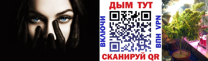 darknet официальный сайт  Петровск-Забайкальский  Каннабис конопля 